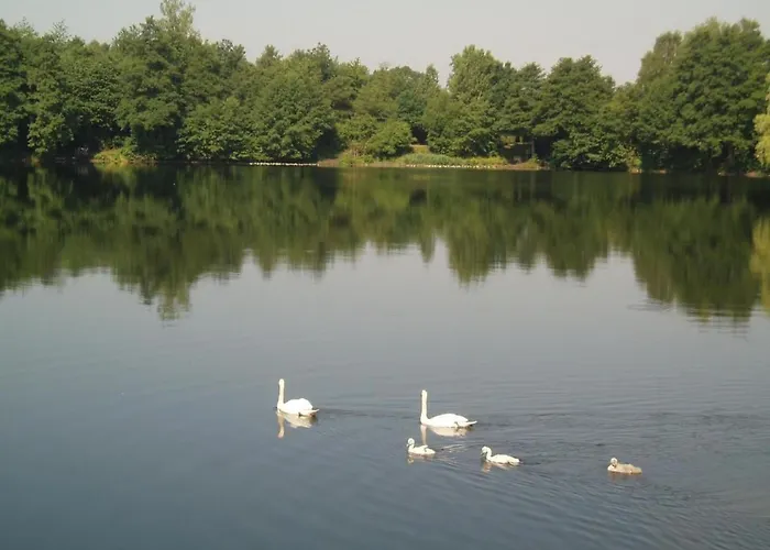 Ferienhaus Haus Aschenputtel By Interhome *
